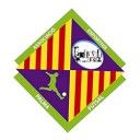 palma futsal